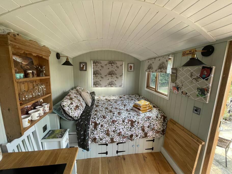 Forest View Shepherd Hut Ewhurst Exterior foto